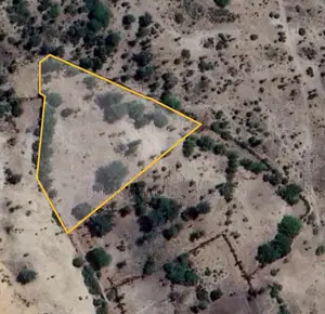 Photo - Fissel Escale