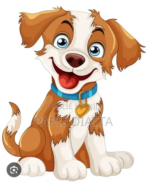 Photo - 3-6 mois Homme Pure race Boerboel