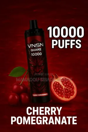 Puff 10000coups Rechargeable