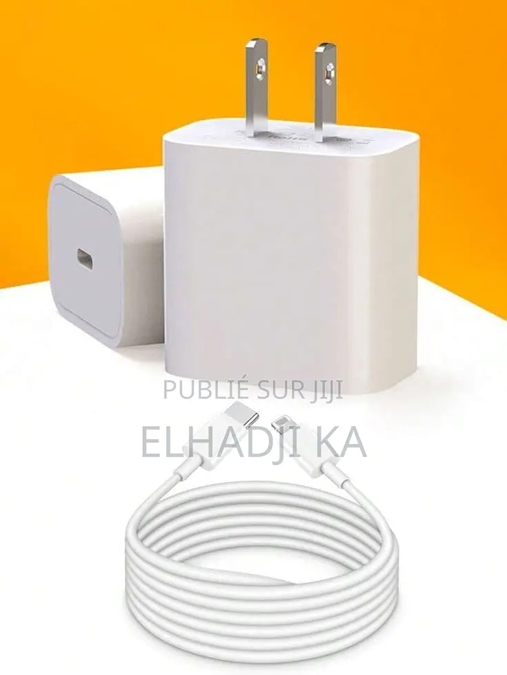 Chargeur iPhone Original Version Américain