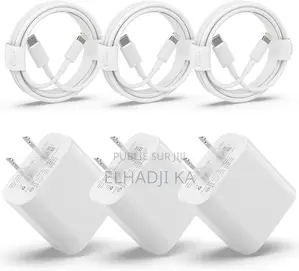 Chargeur iPhone Original Version Américain