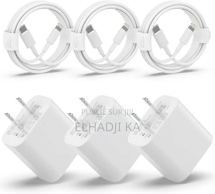 Chargeur iPhone Original Version Américain