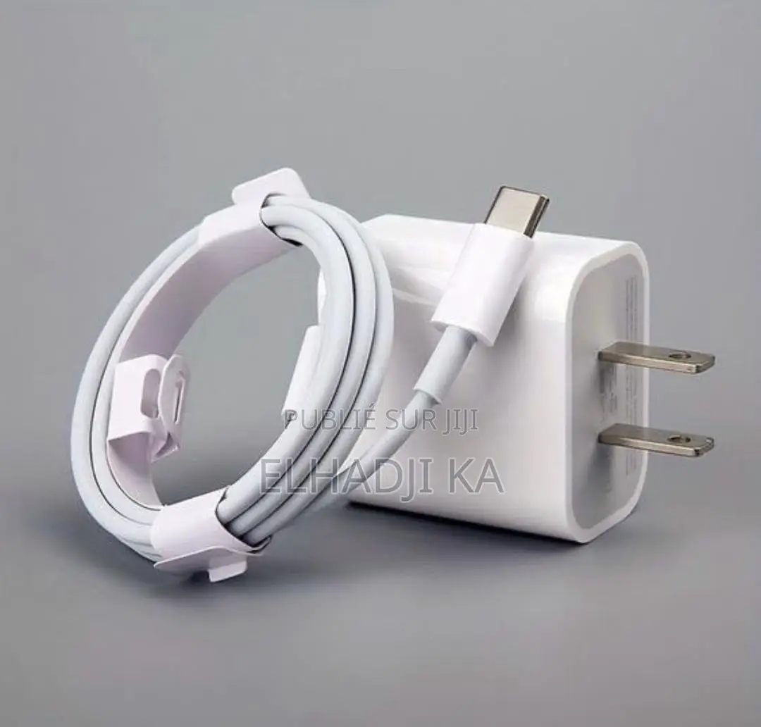 Chargeur iPhone Original Version Américain