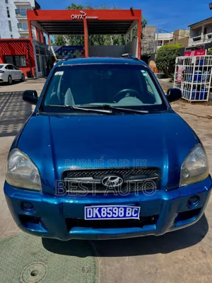 Photo - Hyundai Tucson 2009 Blue