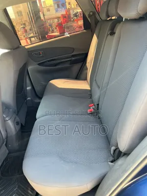 Hyundai Tucson 2009 Blue