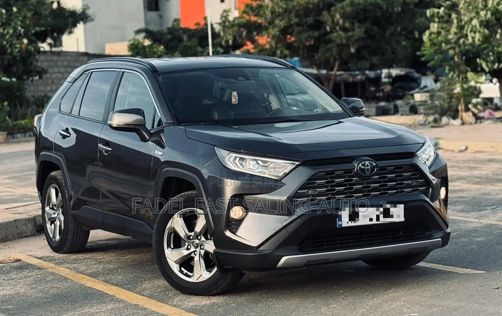 Toyota RAV4 2020 Gris