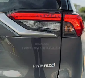 Toyota RAV4 2020 Gris