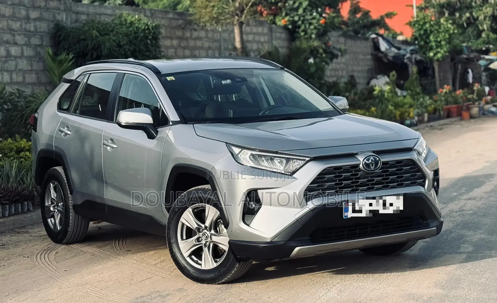 Toyota RAV4 LE AWD 2020 Gris