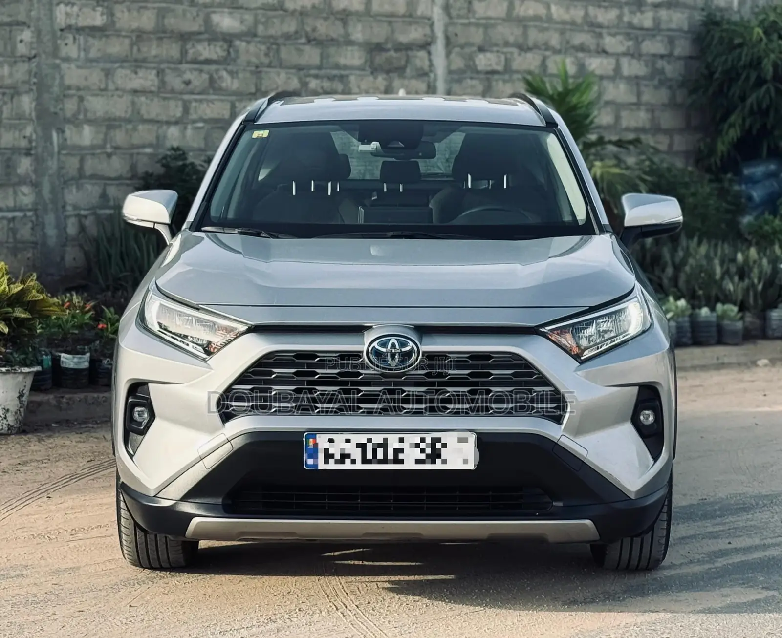 Toyota RAV4 LE AWD 2020 Gris