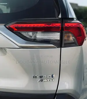 Toyota RAV4 LE AWD 2020 Gris