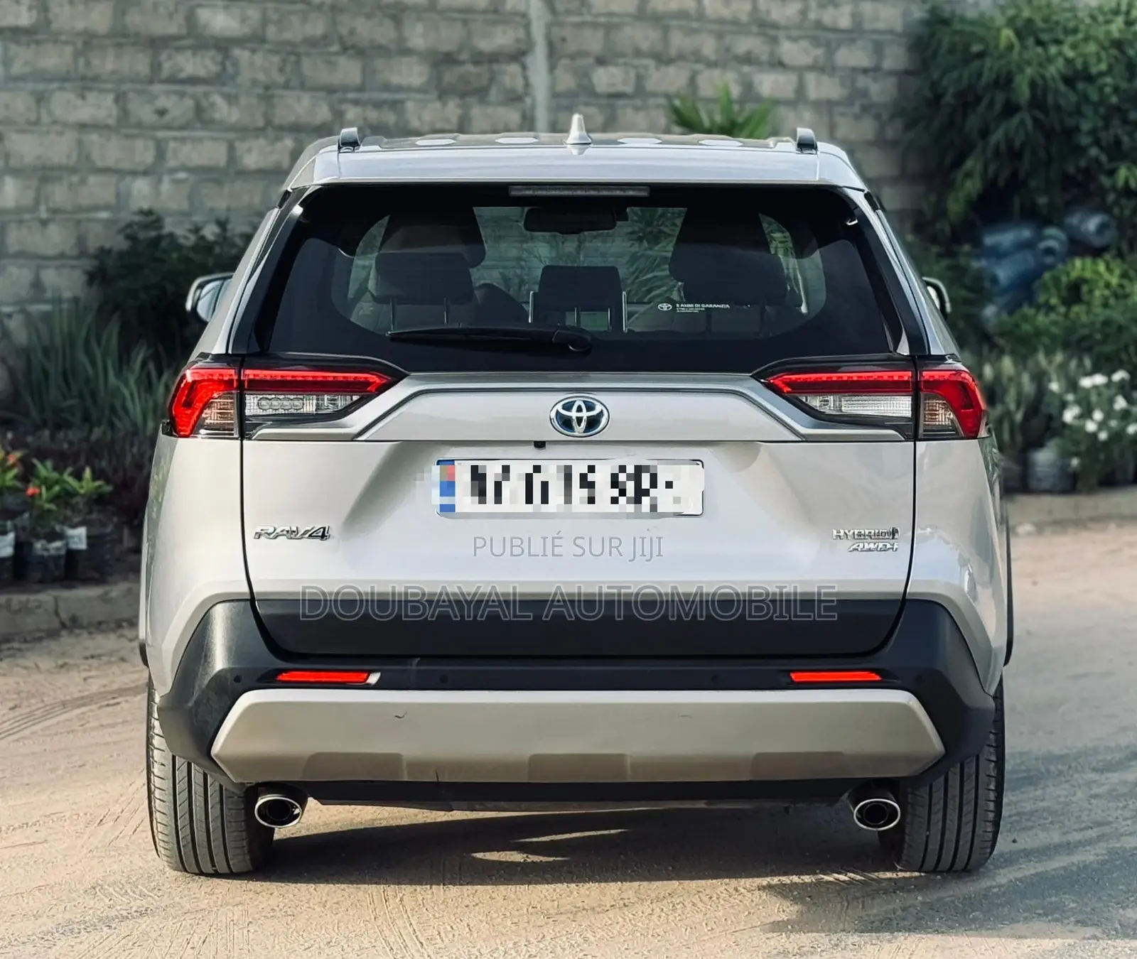 Toyota RAV4 LE AWD 2020 Gris