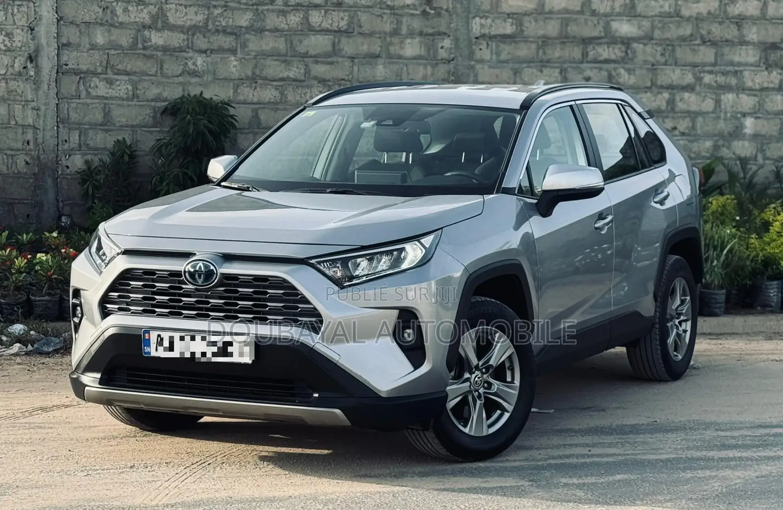 Toyota RAV4 LE AWD 2020 Gris