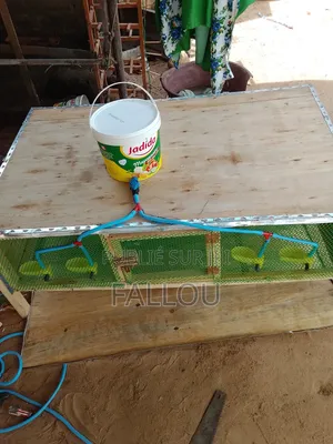 Photo - Cage Pour Caille