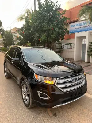 Ford Edge 2017 Noir Mat