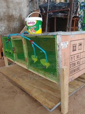 Photo - Cage Automatique