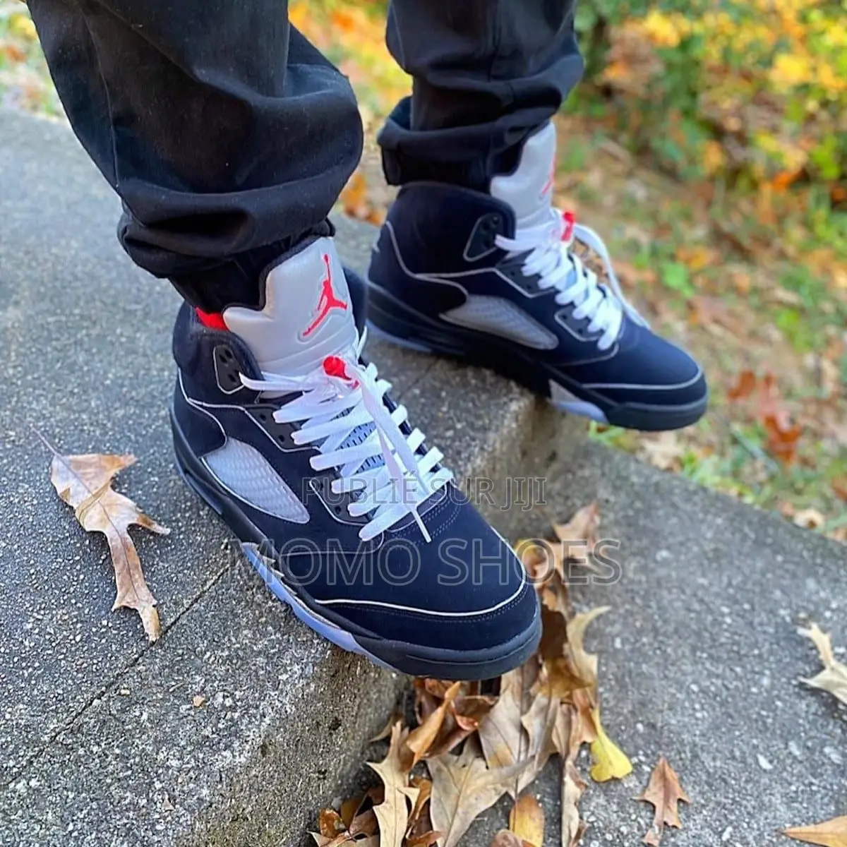 Chaussures Air Jordan 5 Rétro Metalic Reimagined