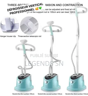 Defroisseur Vertical Professionnel