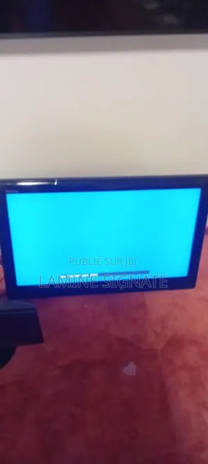 Television