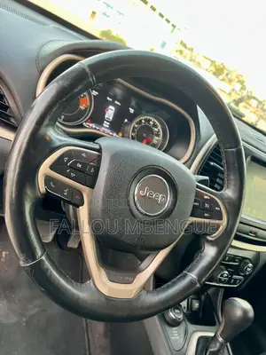 Jeep Cherokee 2017 Gris