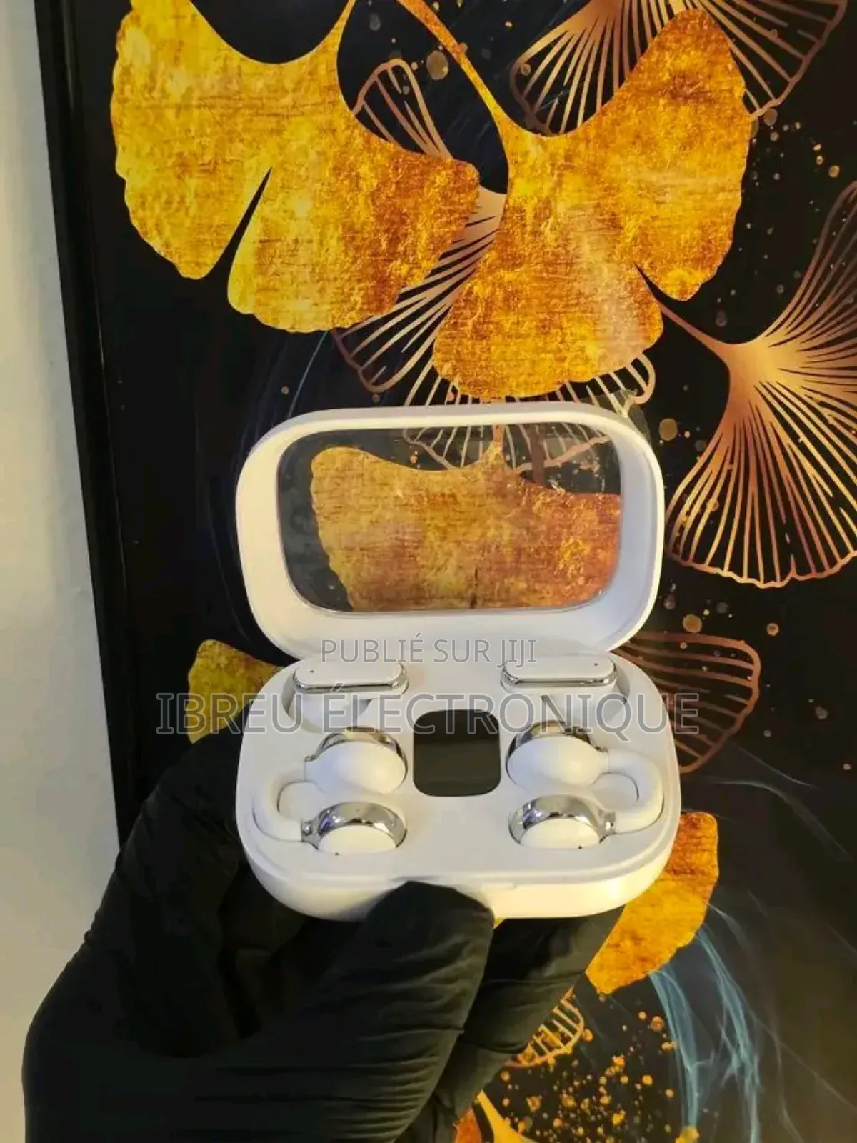 Airpods-Double 2 Styles d'Écouteurs en 1 Boîtier