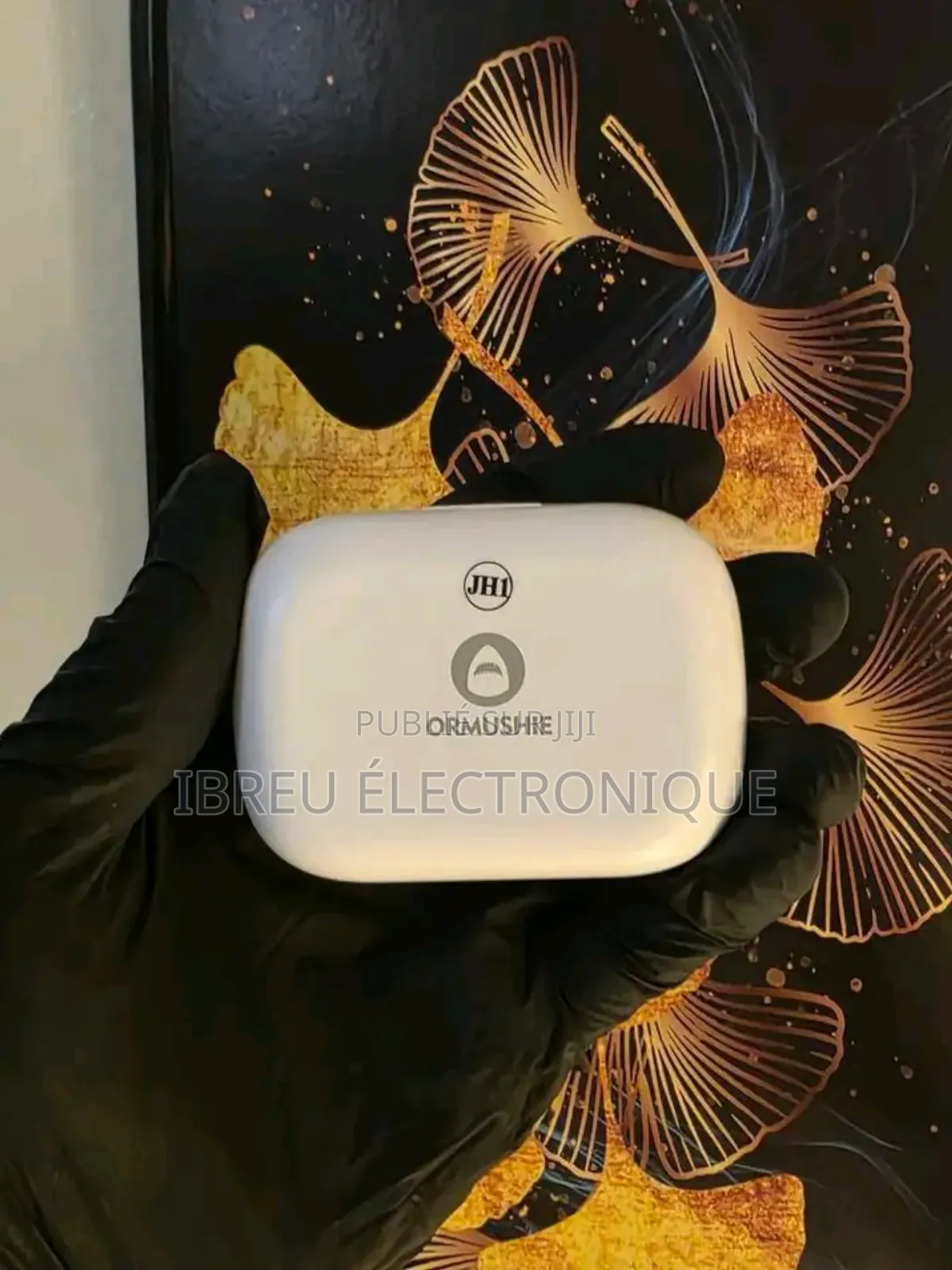 Airpods-Double 2 Styles d'Écouteurs en 1 Boîtier