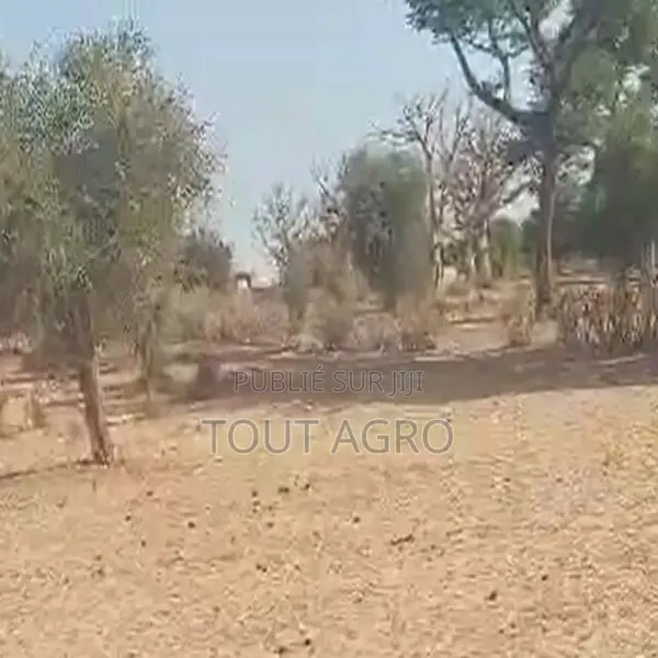 Terrain De 1,70 Hectare Vers Notto Diobass