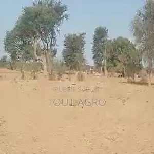 Terrain De 1,70 Hectare Vers Notto Diobass