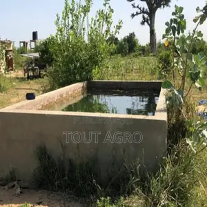Ferme De 4,20 Hectares Vers Tassette