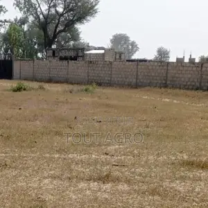 Terrain De 1,6 Hectare Vers Tataguine