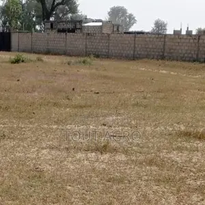 Terrain De 1,6 Hectare Vers Tataguine