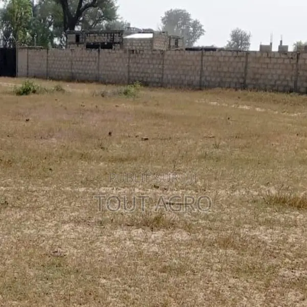 Terrain De 1,6 Hectare Vers Tataguine