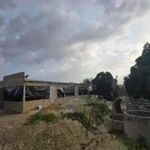 Location Poulaillers 6500 M2 Vers Bambilor