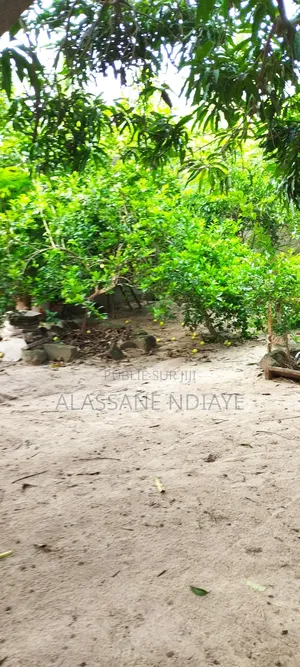 9chbre Maison dans Grande Maison, Keur Moussa à Vendre