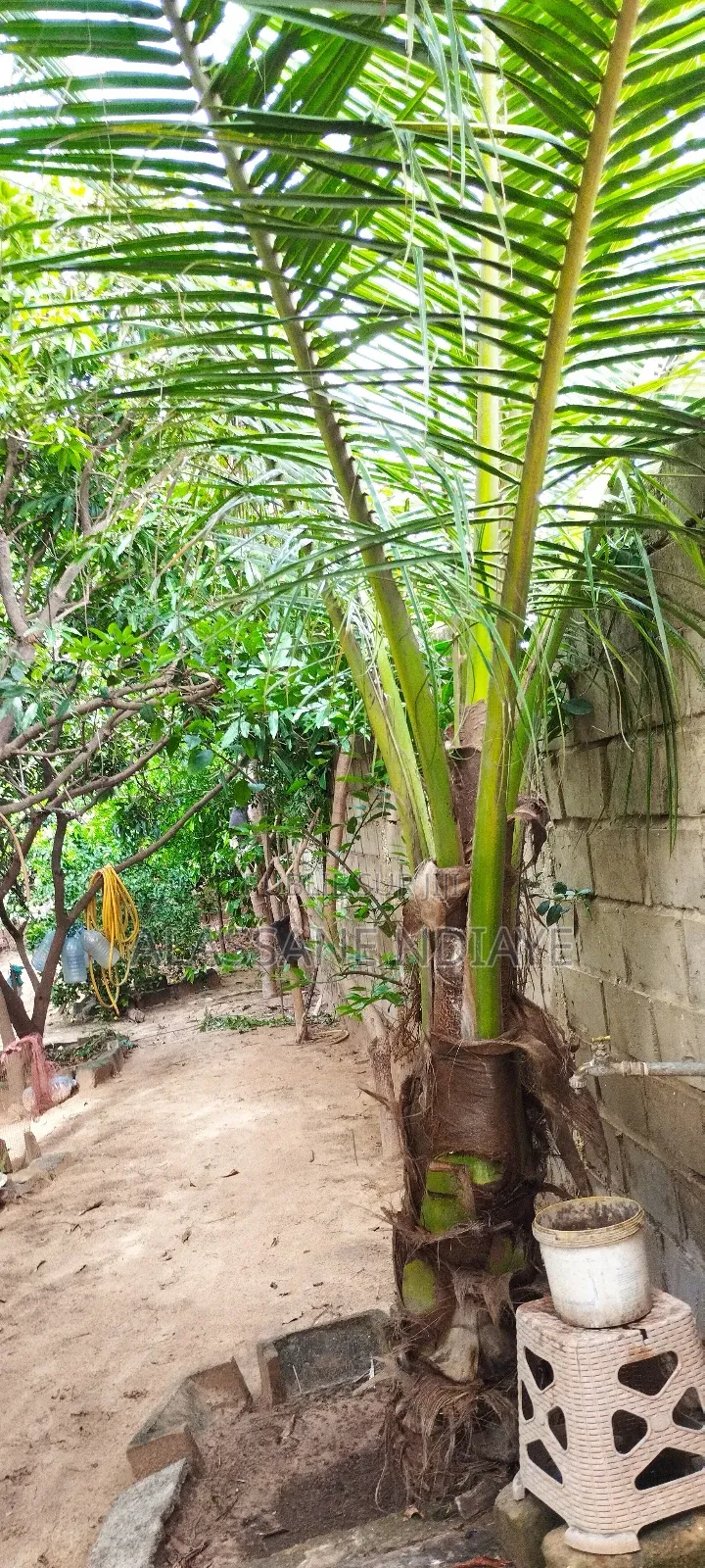 9chbre Maison dans Grande Maison, Keur Moussa à Vendre