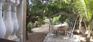 Photo - 9chbre Maison dans Grande Maison, Keur Moussa à Vendre