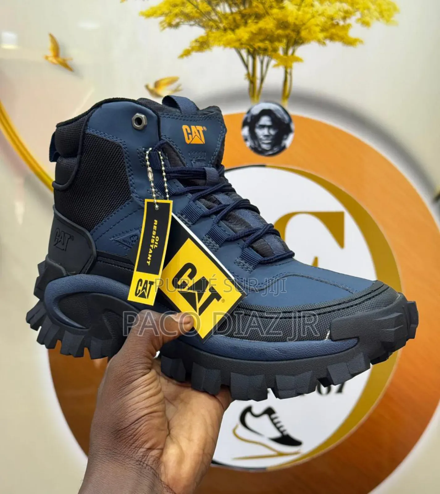 Chaussures De Travail Cat