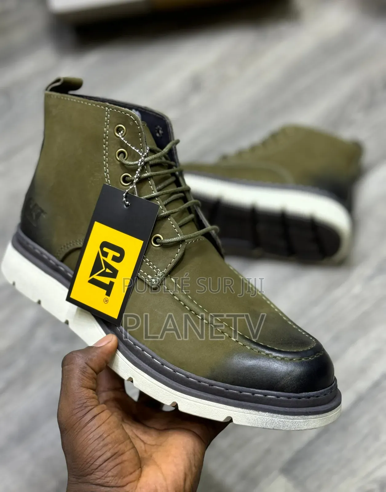 Collection Cat Originale by TDS