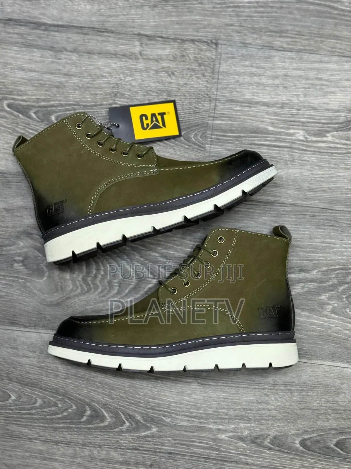 Collection Cat Originale by TDS