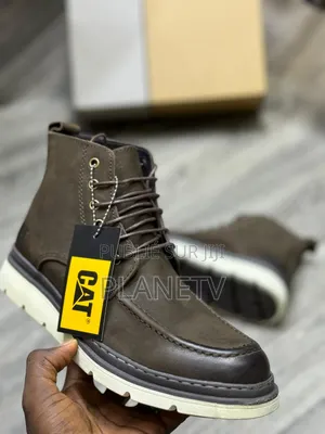 Collection Cat Originale by TDS