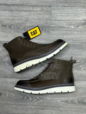 Collection Cat Originale by TDS