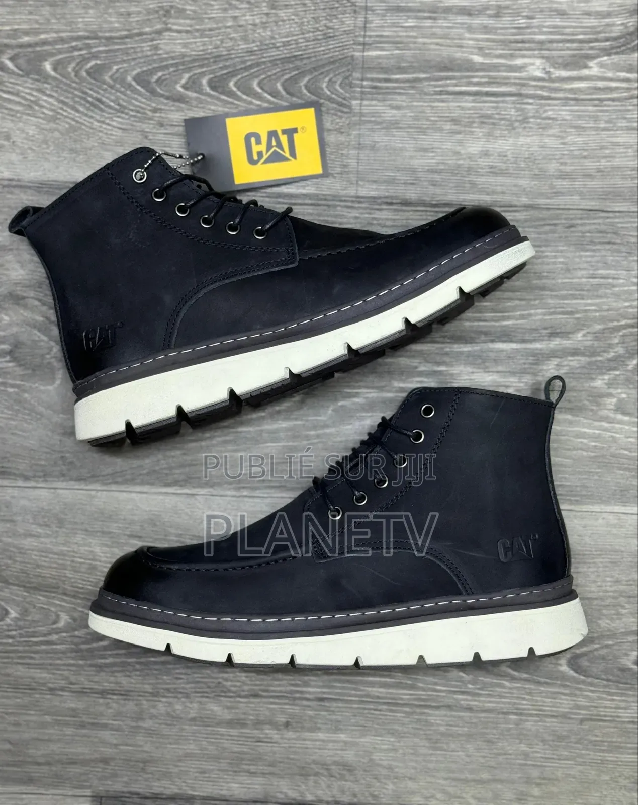 Collection Cat Originale by TDS