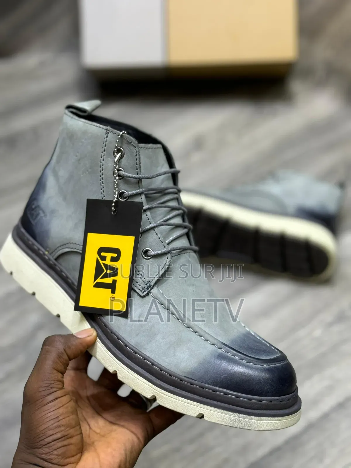 Collection Cat Originale by TDS