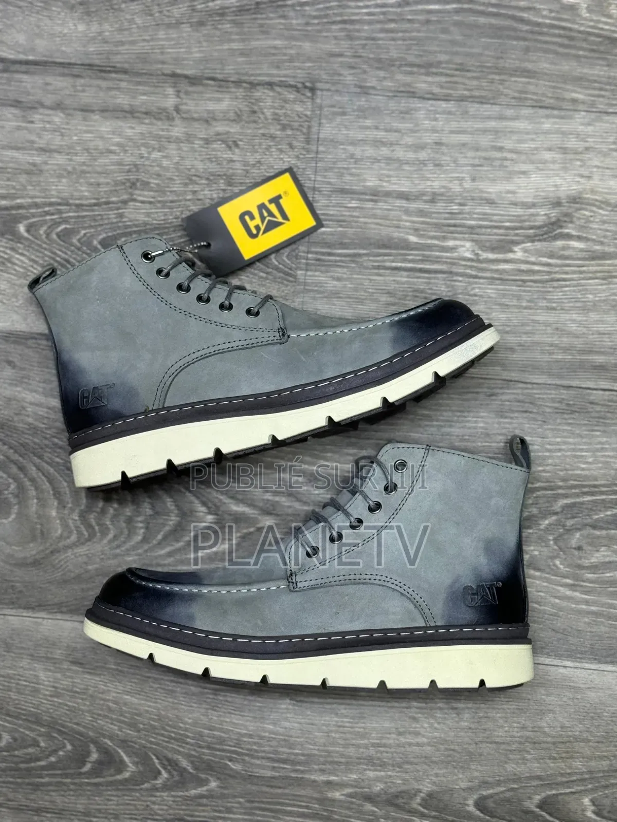 Collection Cat Originale by TDS