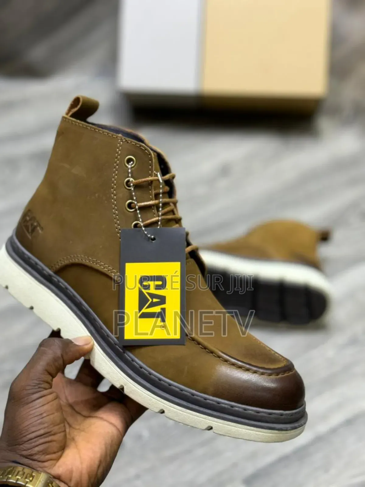 Collection Cat Originale by TDS