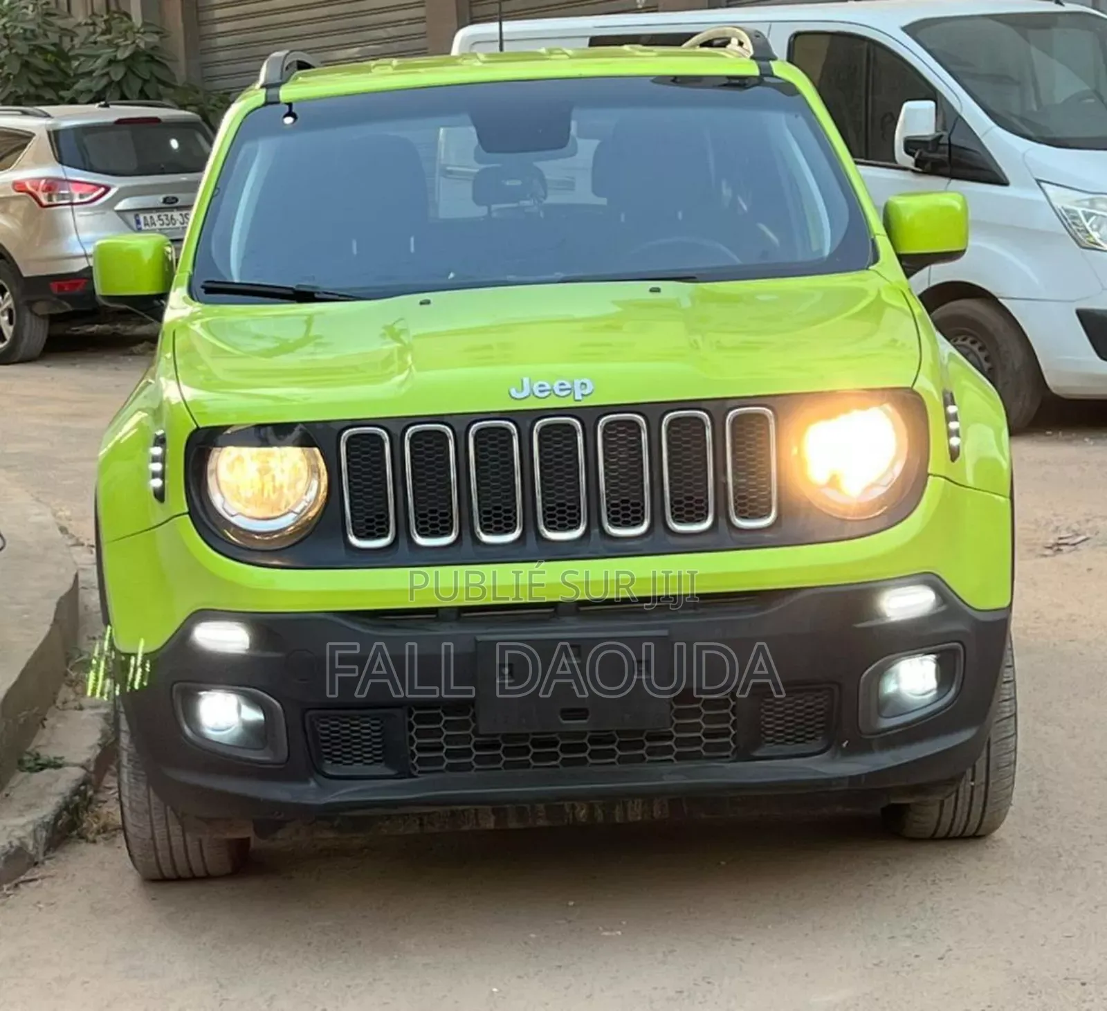 Jeep Renegade 2018 Vert