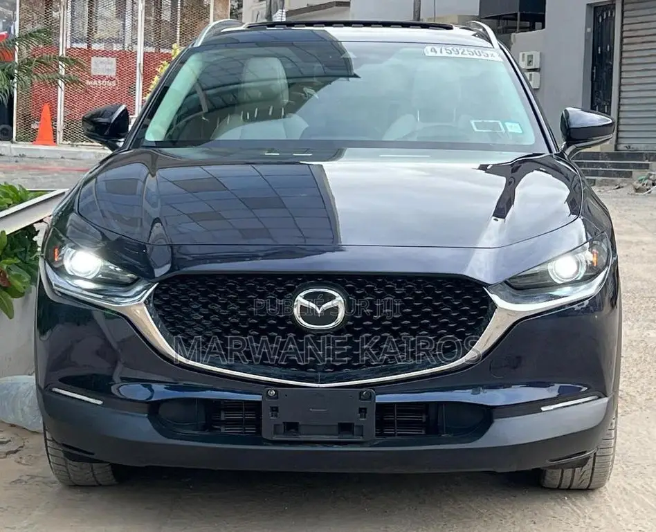Mazda CX-30 2021 Blue