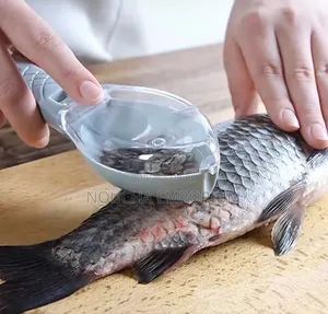 Photo - Écailleur De Poisson