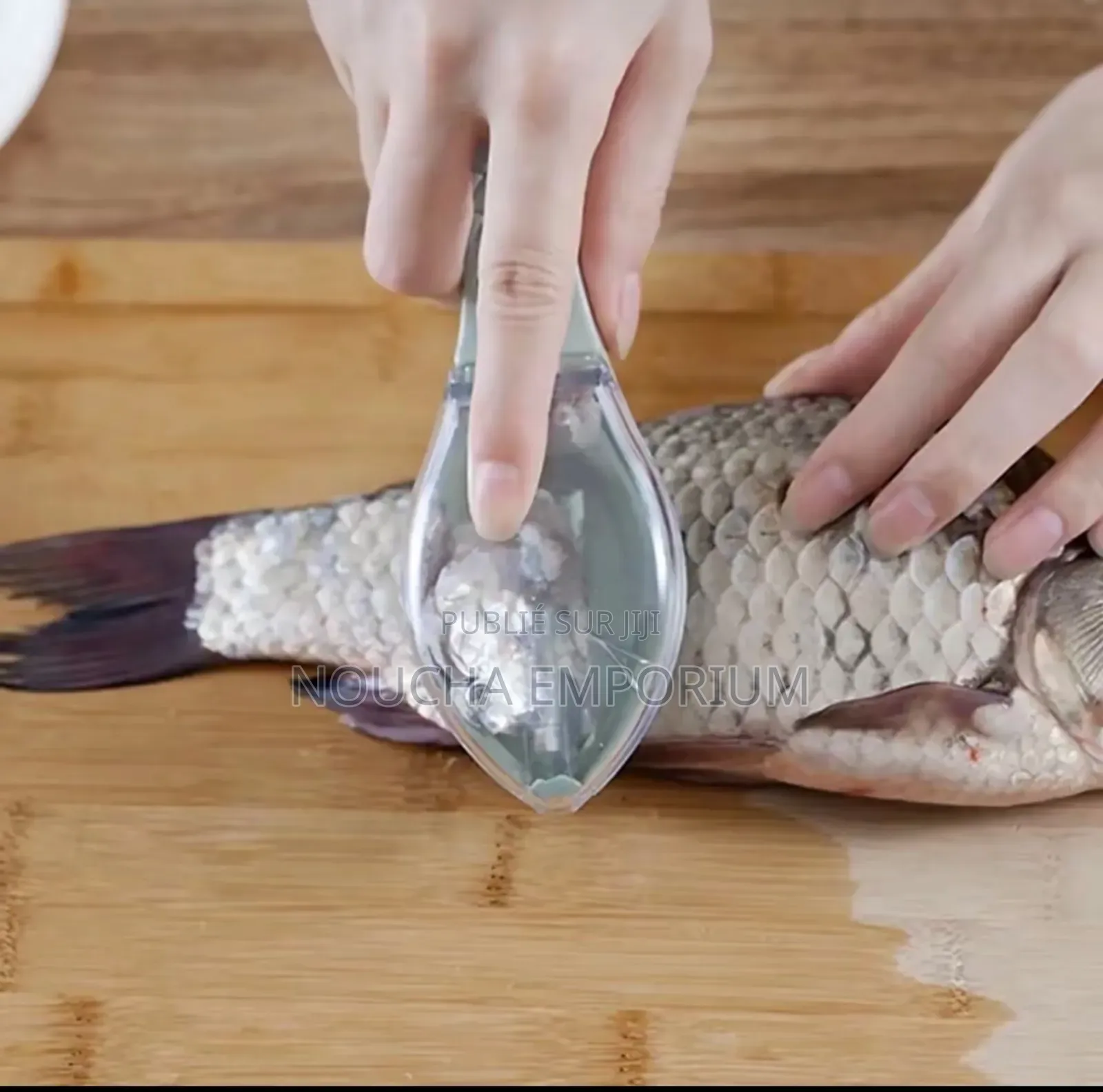 Écailleur De Poisson