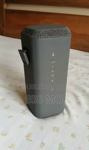 Photo - Sony SRS-Xe 300