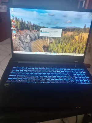 Photo - Ordinateur Portable Clevo W370 16GB Intel Core I5 SSD 512GB